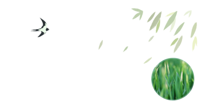 员工随笔丨抗“疫”过年，，，，，各人都还好吗？？？？？？？？