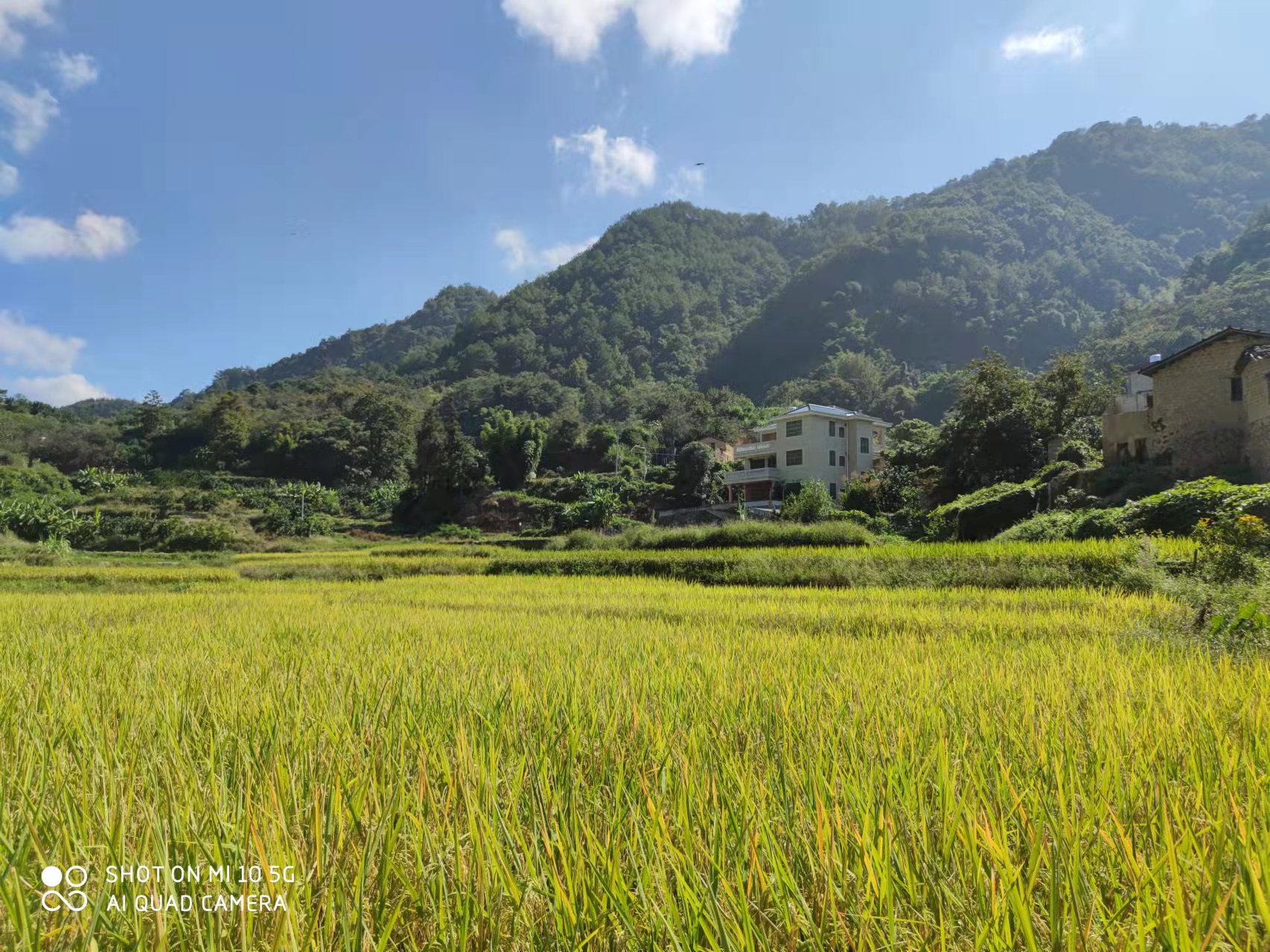 恢复（增补）耕地项目怎么干？？？？？万利国际官网有话说