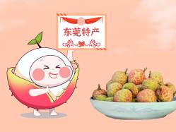 漫话万利国际官网丨一颗有“故事”的荔枝！