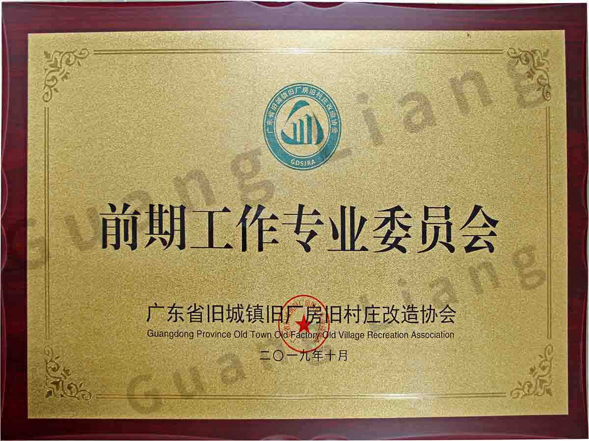 广东省旧城镇旧厂房旧墟落刷新协会前期事情专业委员会主任委员