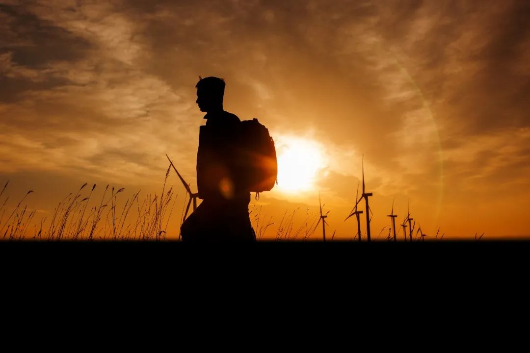 万利国际官网12周年征文丨一等奖《此心安处是吾乡》