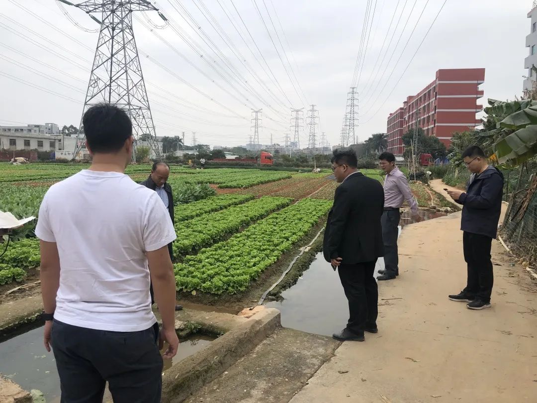 助力墟落振兴，，，，，，万利国际官网一直在起劲！