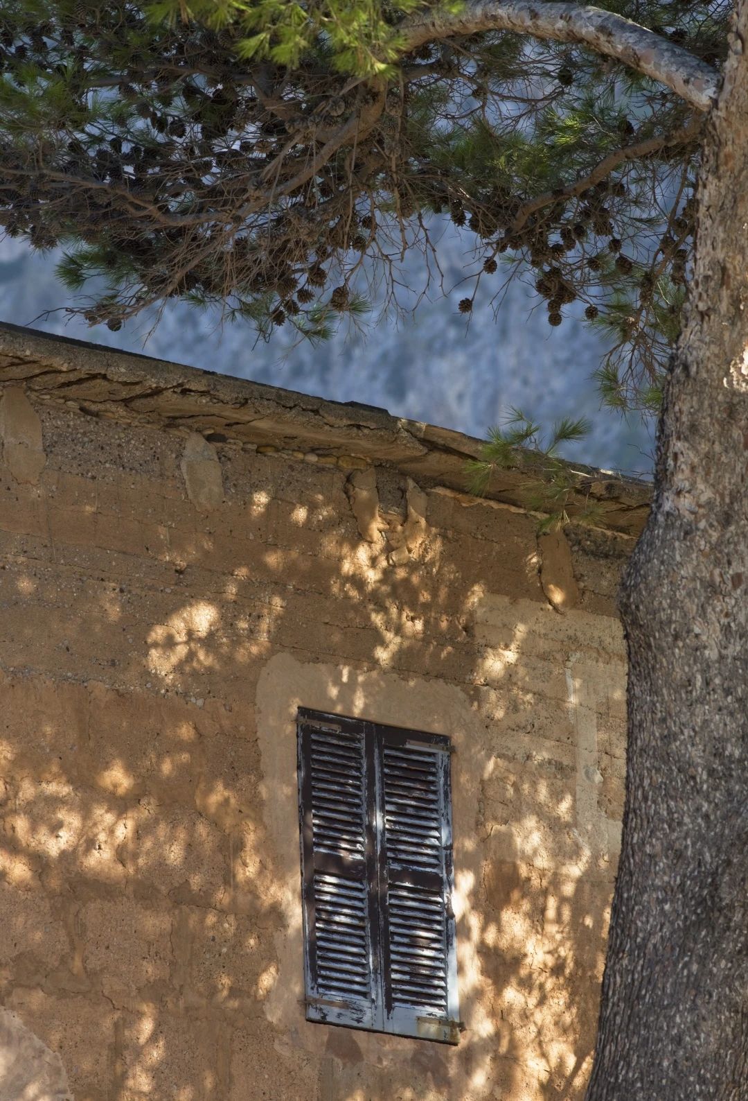 节日丨315特辑：给老屋子的情书！