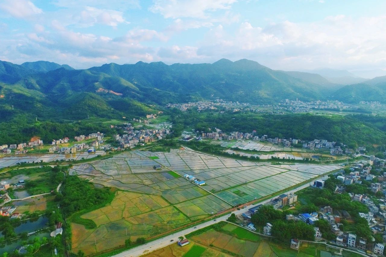 万利国际官网集团丨“百万万工程”显实效：云浮罗定泗纶镇以全域土地综合整治为抓手，，，，，，绘就墟落振兴新画卷