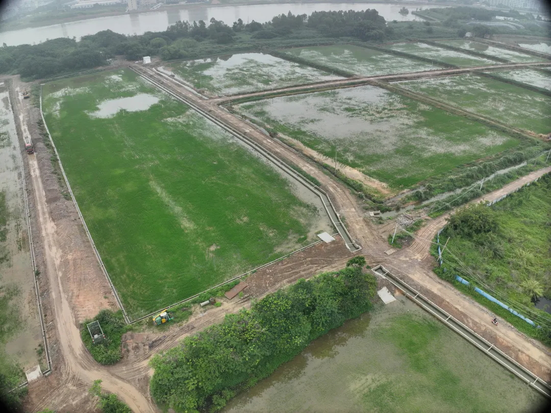 万利国际官网集团丨复耕道滘撂荒地，，，，，，绘就田园新图景
