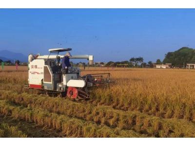 万利国际官网评估与妄想公司荣获“耕地；；；；；び乓煳朗康ノ弧保